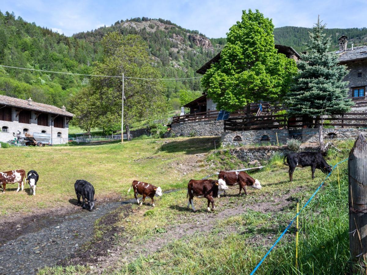 Holiday Home Maison Meynet By Interhome Sarre Εξωτερικό φωτογραφία